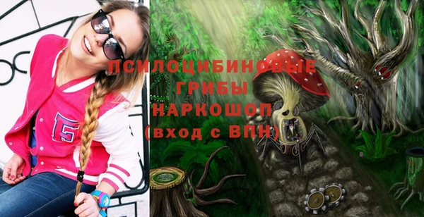 спиды Алексин