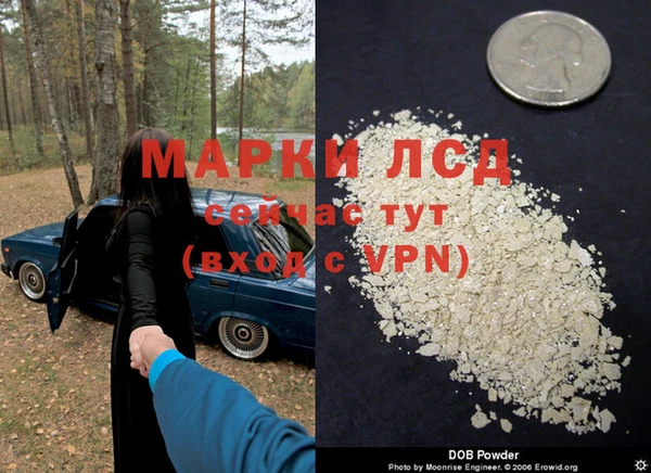 индика Нефтекумск