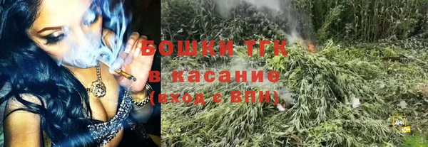индика Нефтекумск