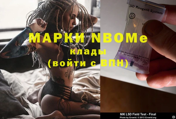 индика Нефтекумск
