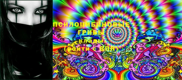 спиды Алексин