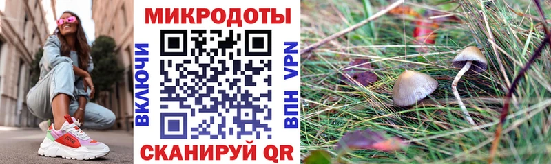 Купить  Болохово  Галлюциногенные грибы прущие грибы 